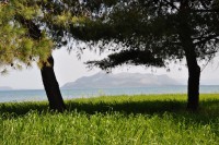 /album/%ce%ad%ce%ba%ce%b8%ce%b5%cf%83%ce%b7-%cf%86%cf%89%cf%84%ce%bf%ce%b3%cf%81%ce%b1%cf%86%ce%b9%cf%8e%ce%bd/a40705343-jpg/